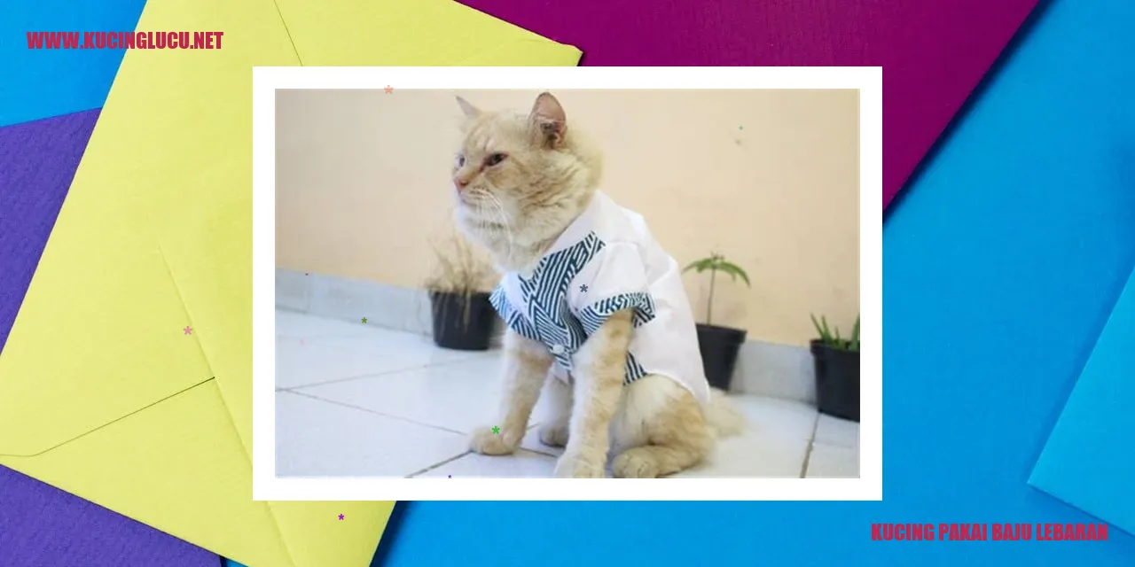 Perilaku Kucing baju lebaran kucing