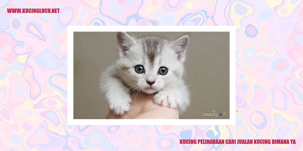 Kucing sebagai Hewan Peliharaan