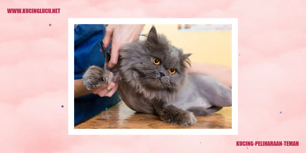 Kucing sebagai Hewan Peliharaan 2 kucing