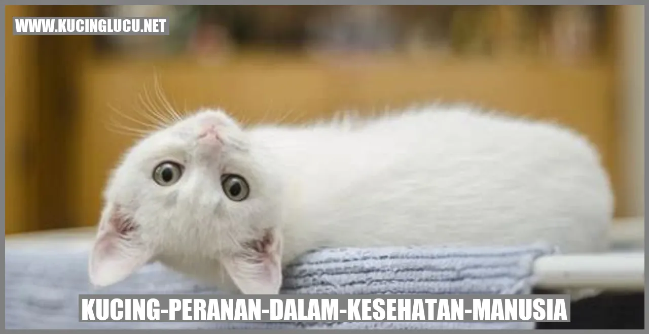 Peranan Kucing dalam Kesehatan Manusia