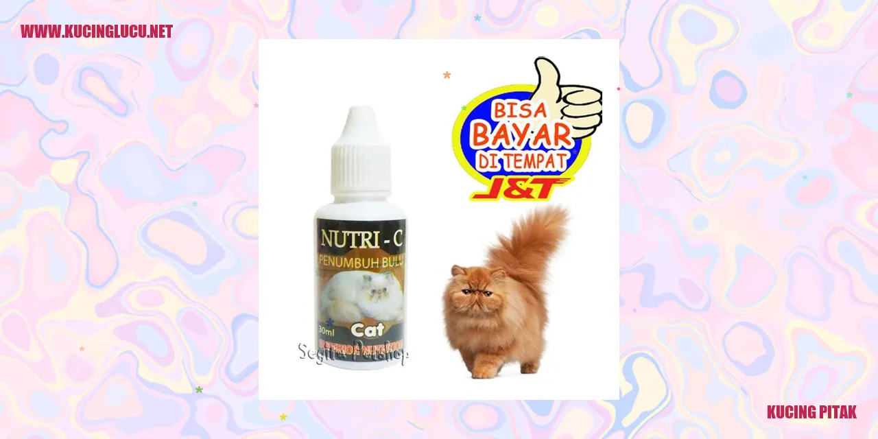 Kucing pitak yang menggemaskan