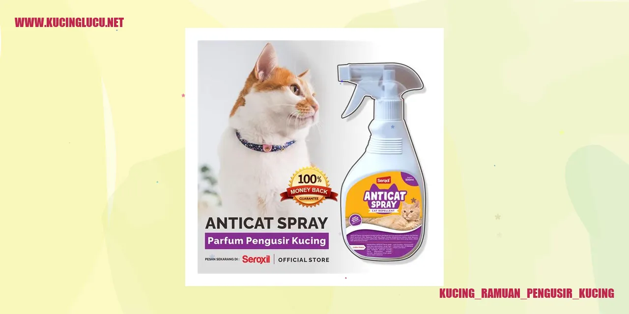 Gambar Kucing