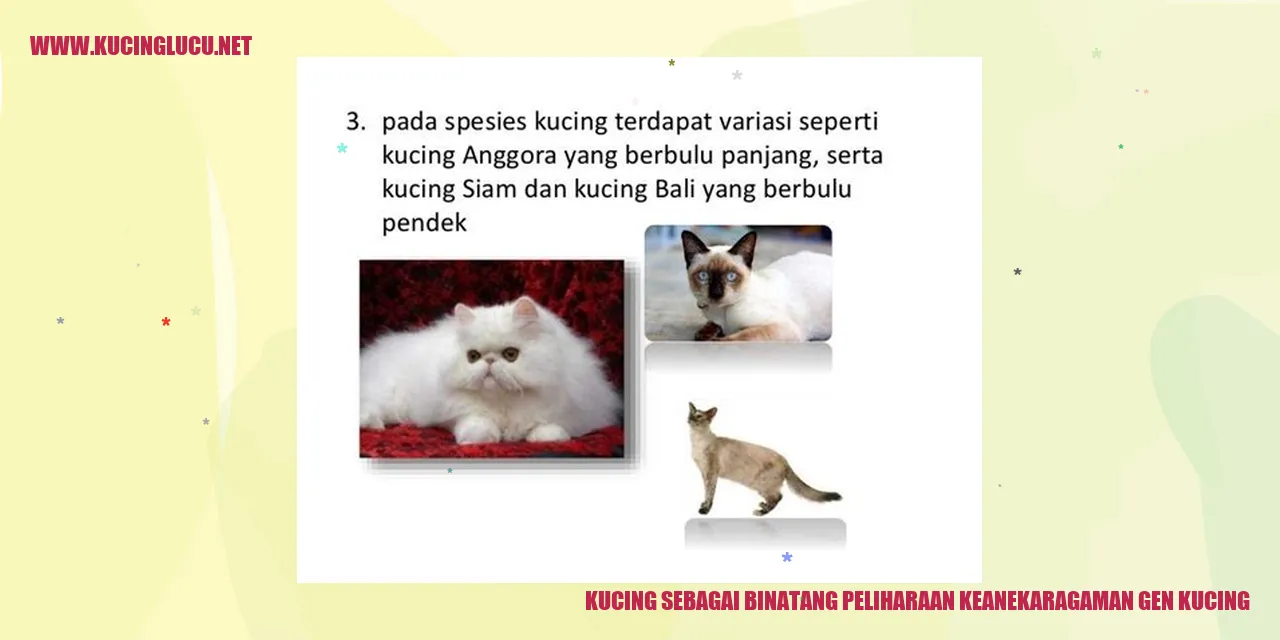 Kucing menggemaskan