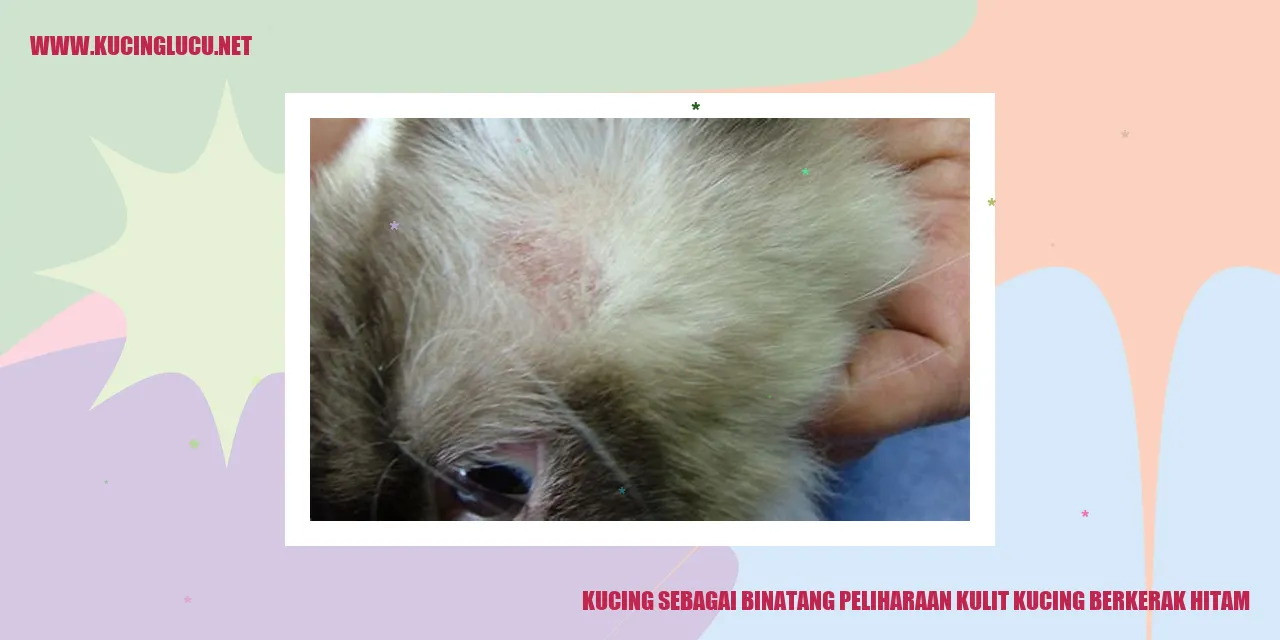 Kucing dengan kulit yang memiliki corak warna hitam yang unik