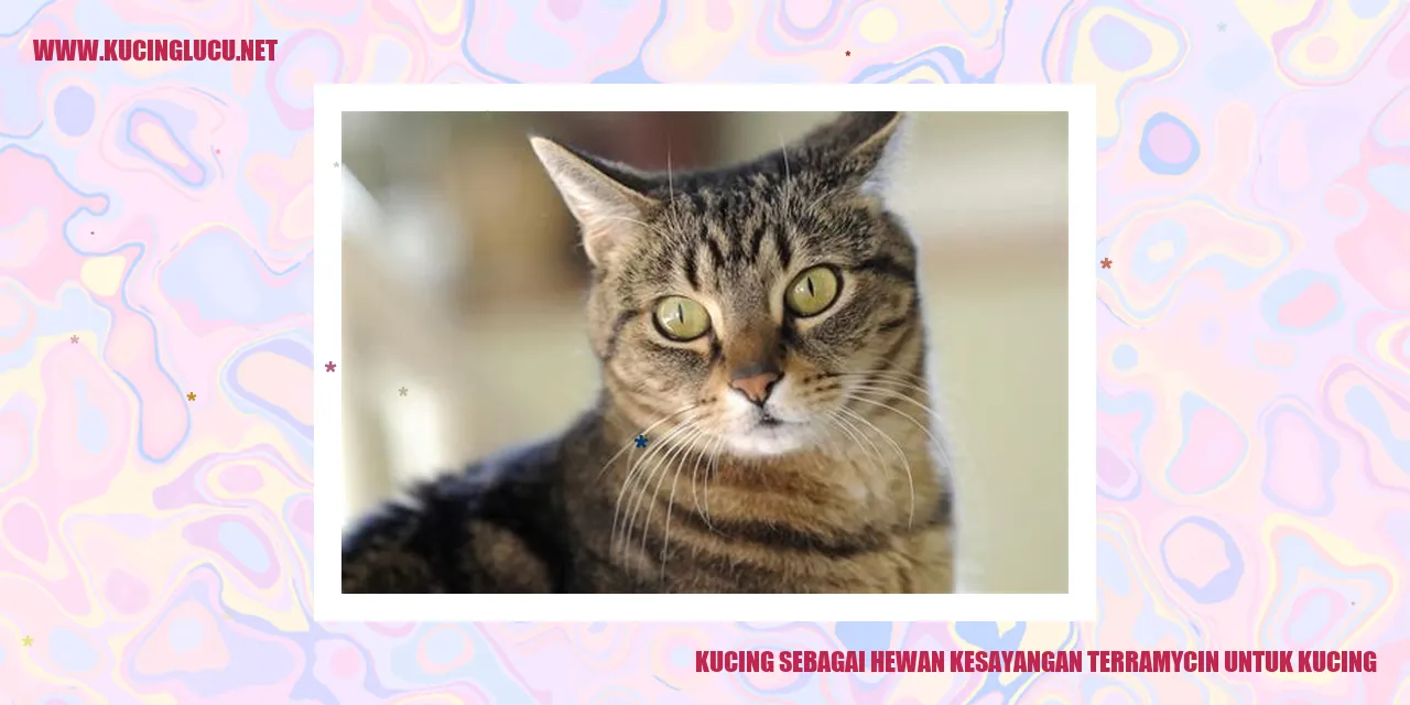 Kucing sebagai Hewan Kesayangan
