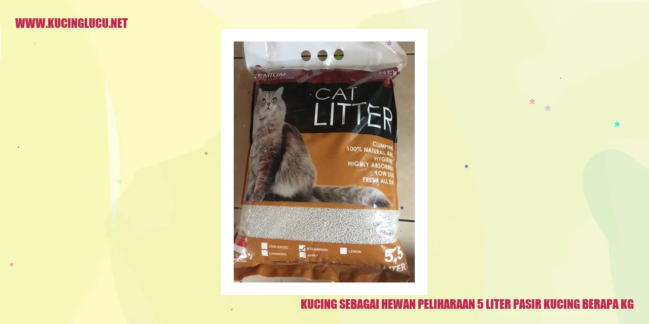 Gambar Kucing