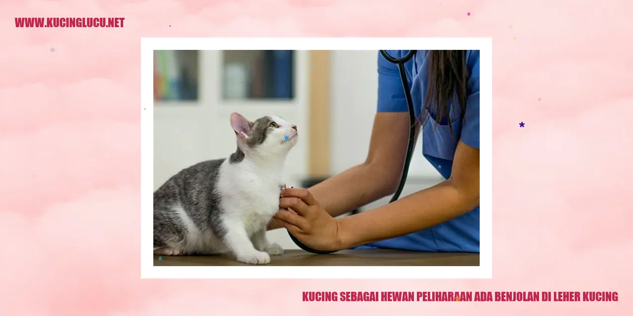 Gambar Kucing dengan Benjolan di Leher