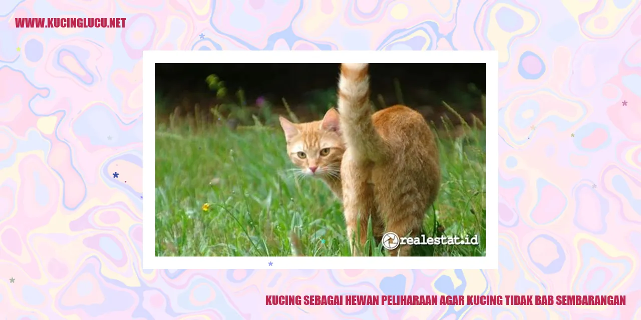 Kucing Menggunakan Kotak Pasir
