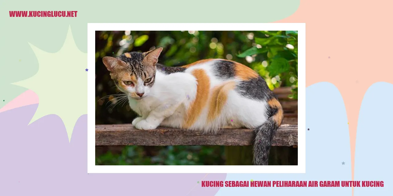 Kucing Wujud Hewan Peliharaan Air Laut yang Menggemaskan
