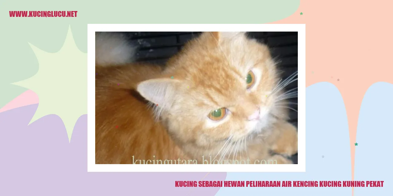 Gambar Kucing