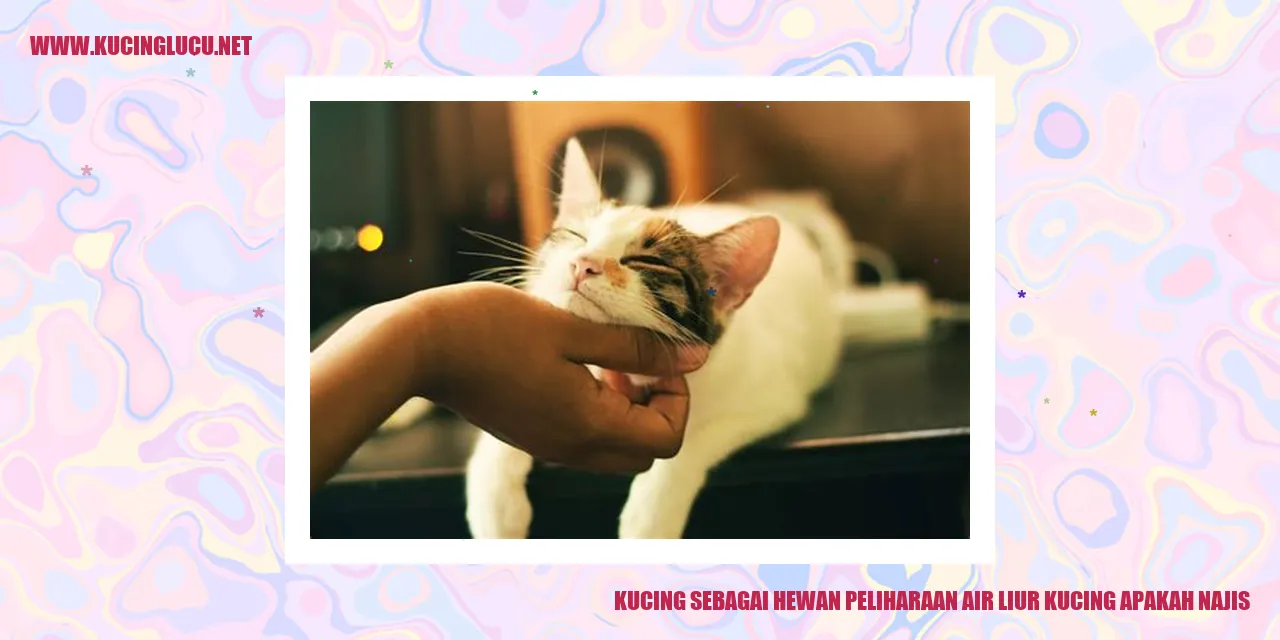 Kebersihan Air Liur Kucing