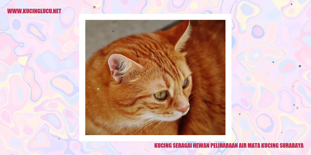 Kucing sebagai Hewan Peliharaan