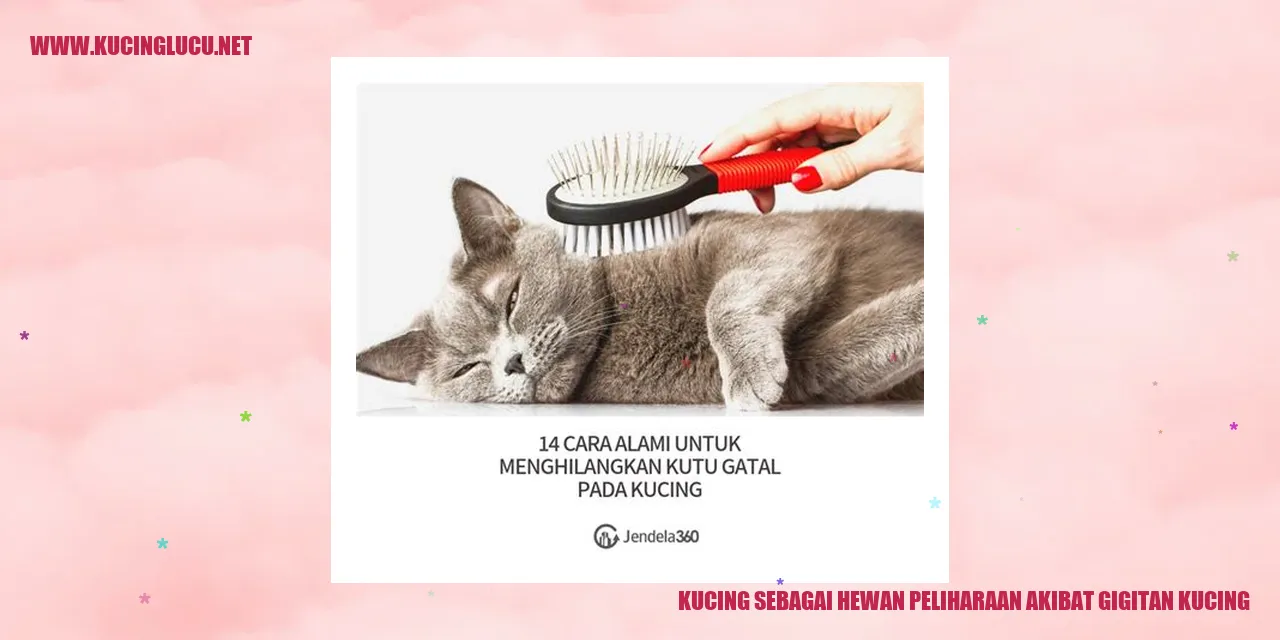 Kucing sebagai Hewan Peliharaan akibat gigitan kucing