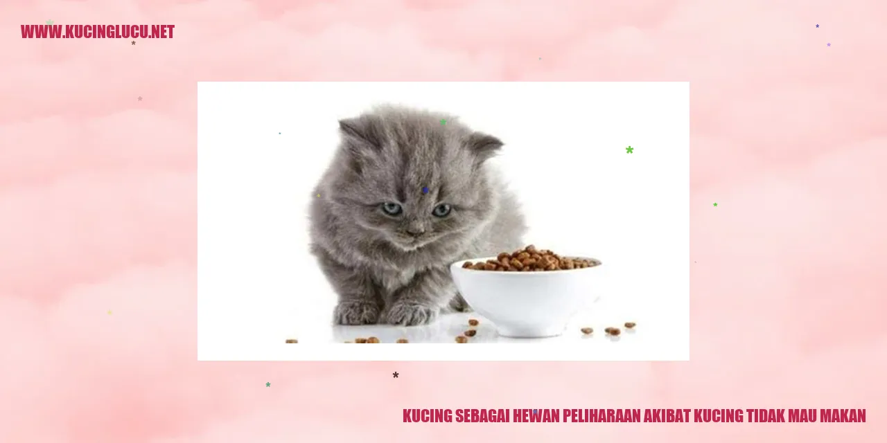 Kucing yang menolak makan