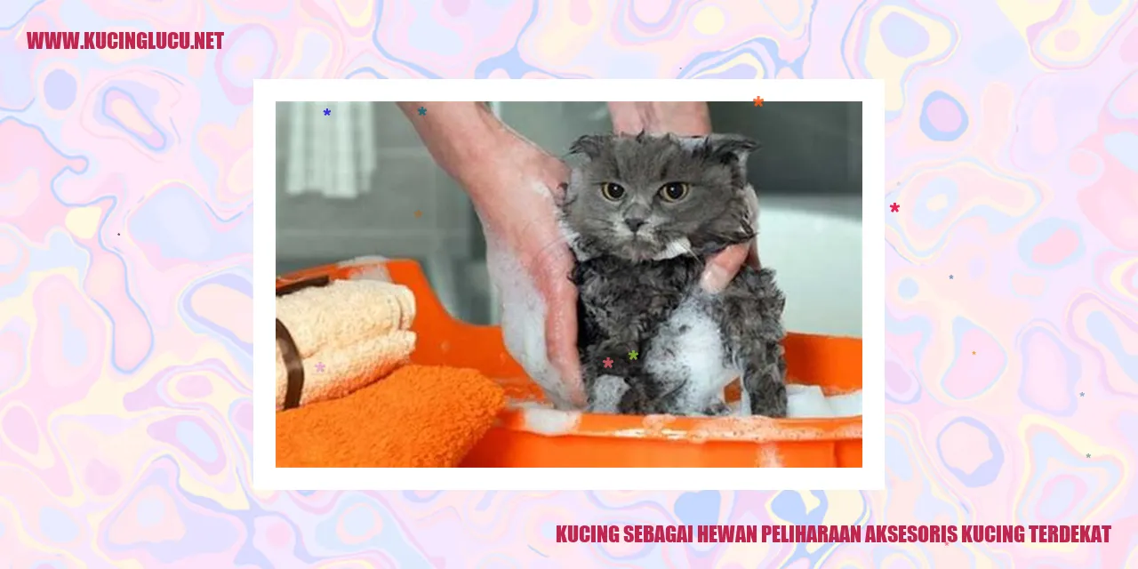 kucing menggemaskan