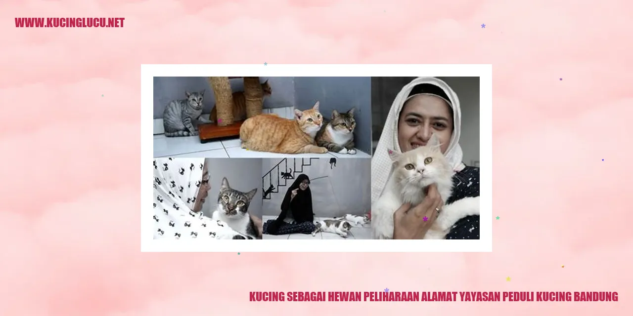 ilustrasi kucing