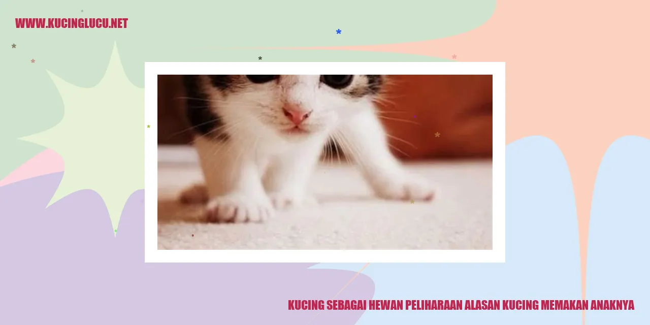 Ilustrasi Kucing Peliharaan