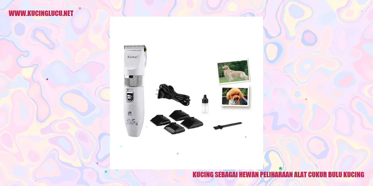 Gambar Kucing sebagai Hewan Peliharaan