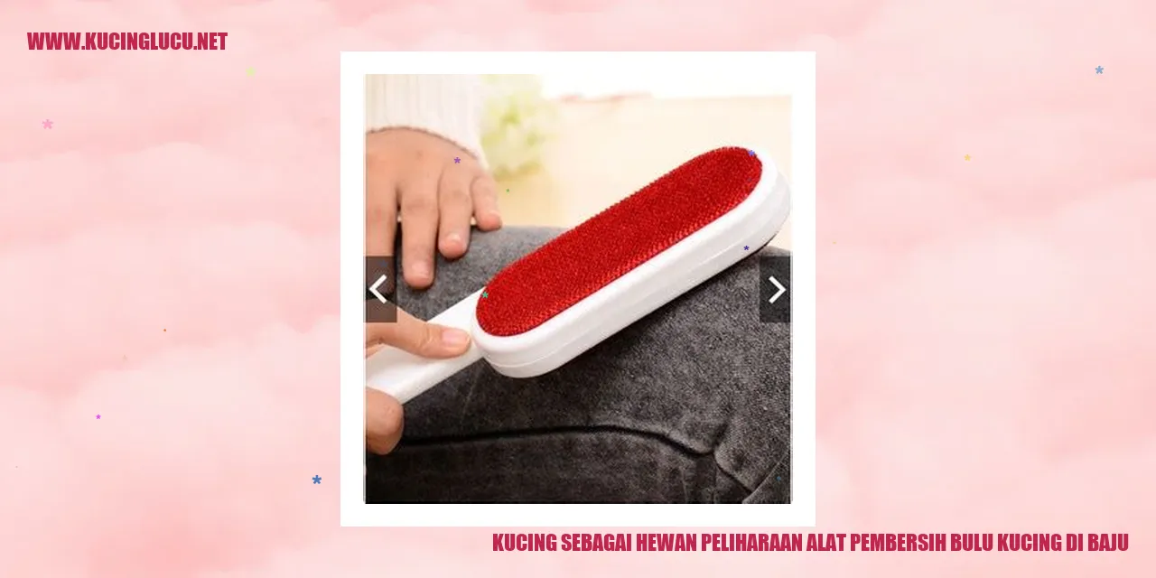 Kucing sebagai Hewan Peliharaan alat pembersih bulu kucing di baju