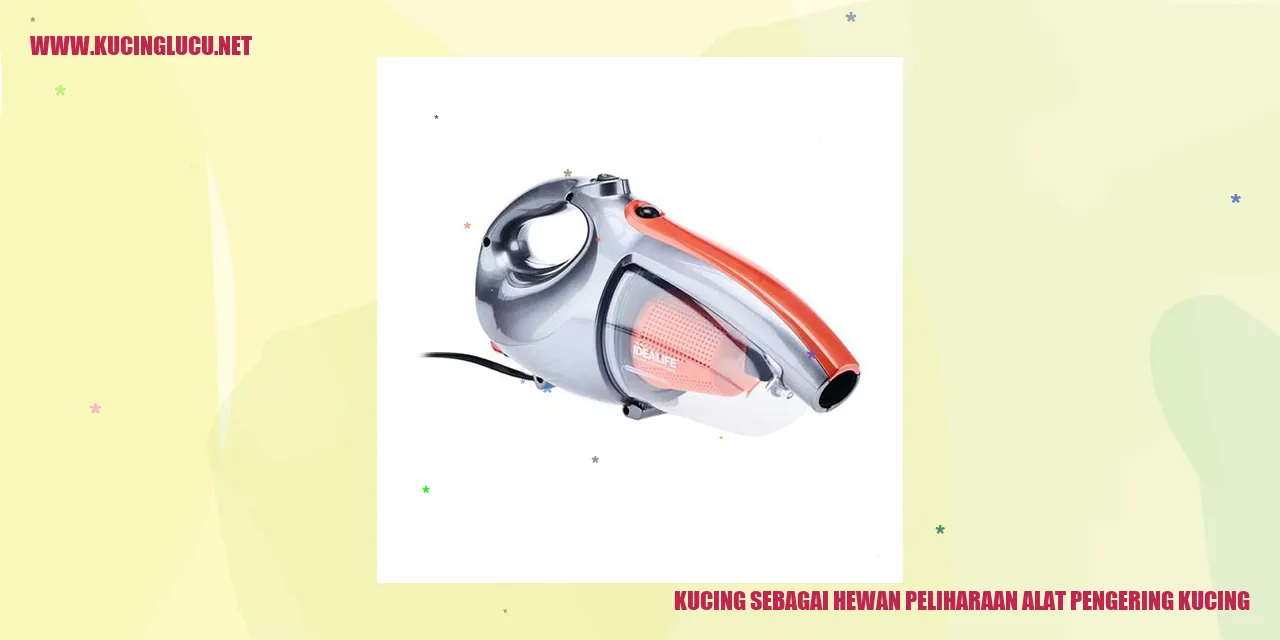 Kucing yang Menggemaskan