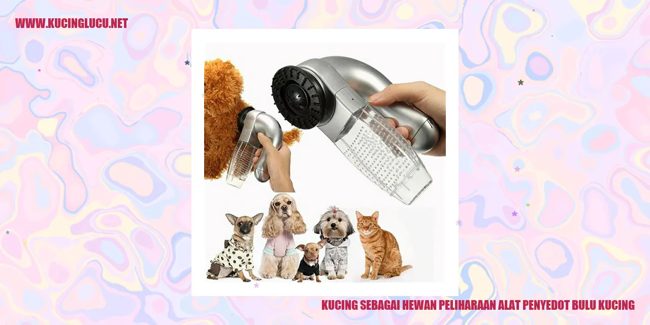 Gambar Kucing