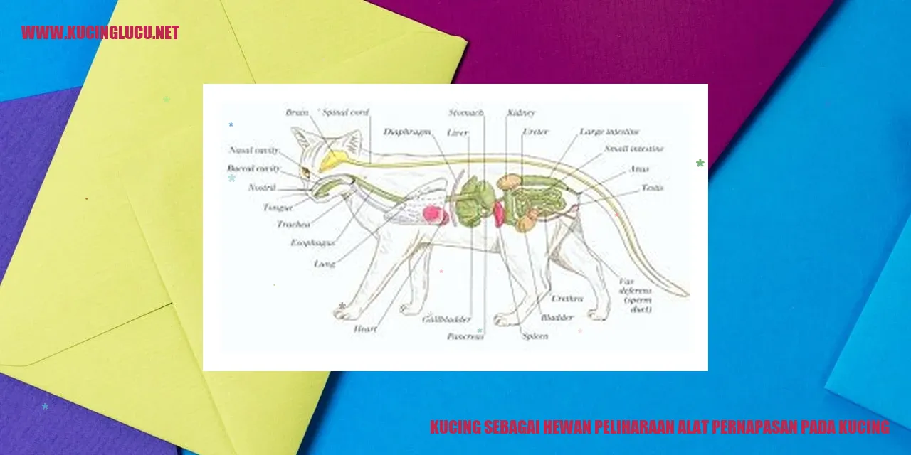 Kucing sebagai Hewan Peliharaan