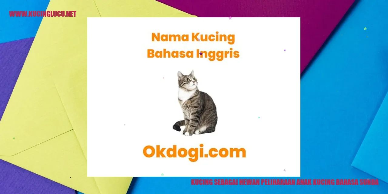 Gambar Kucing Sunda