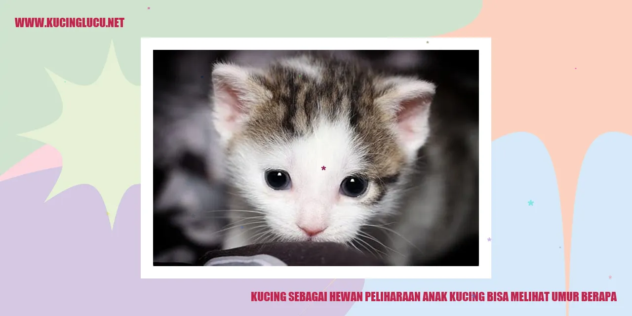 Anak kucing yang menggemaskan