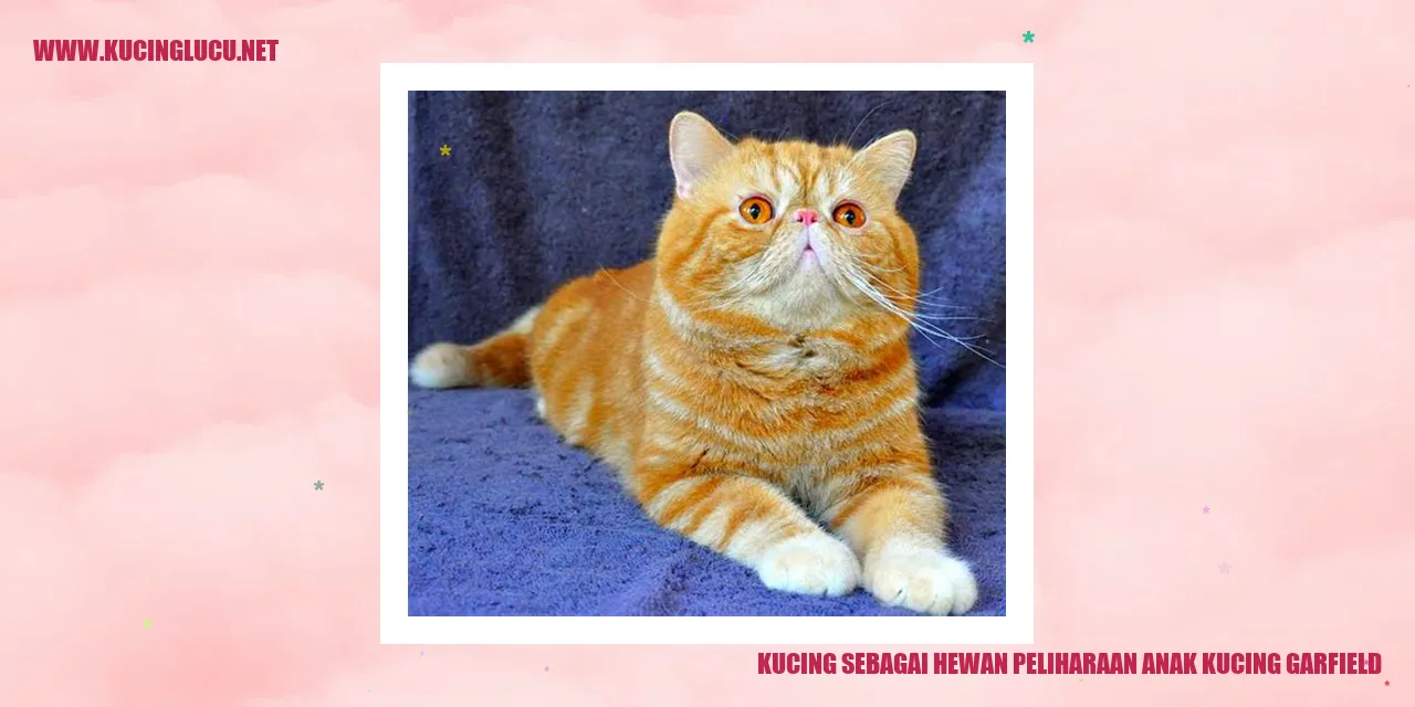 Gambar Kucing