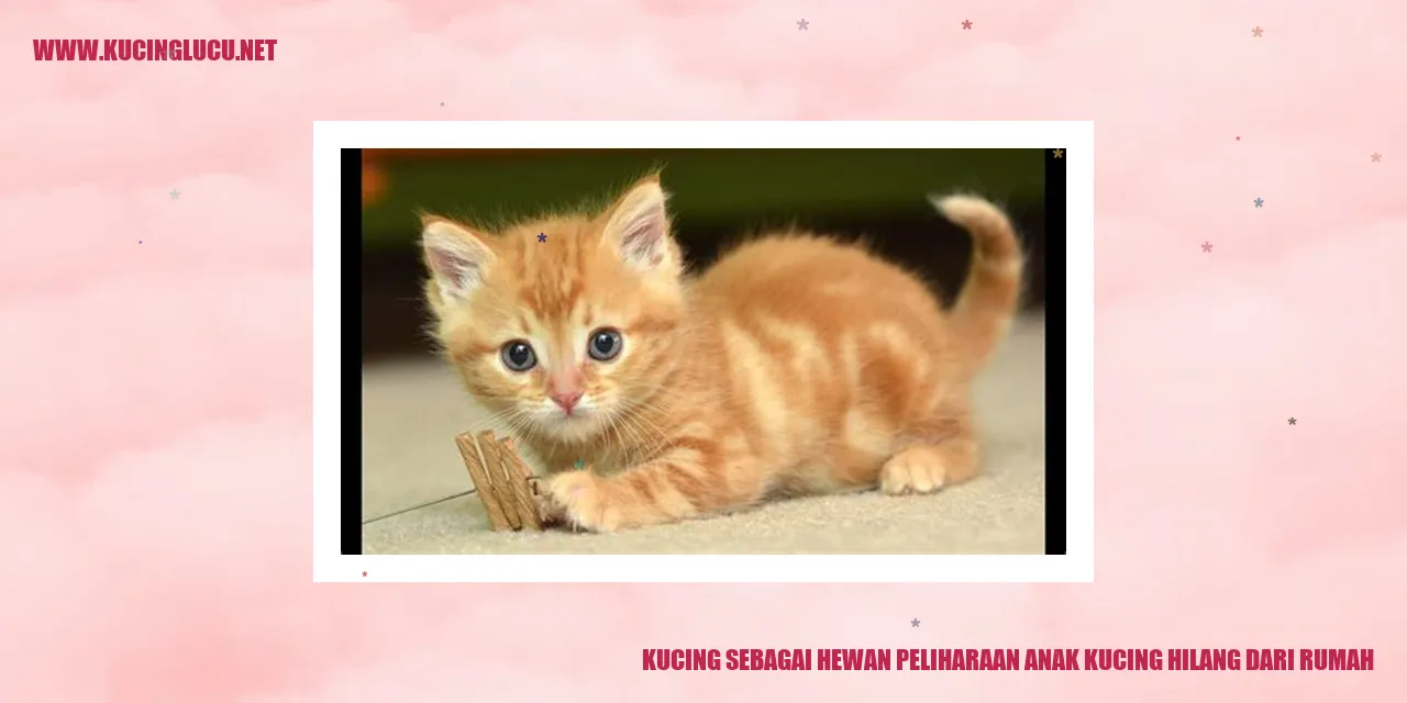 Sahabat Kucing