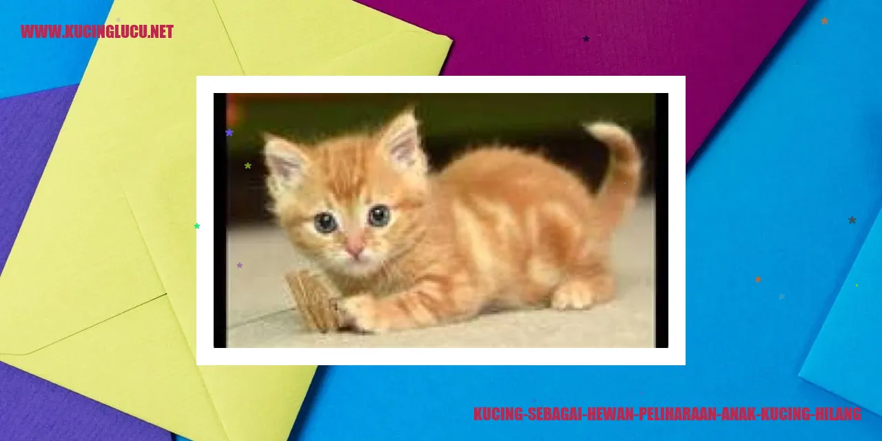 Gambar kucing yang hilang