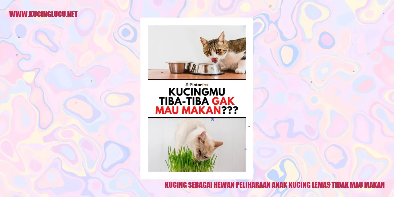 Gambar Kucing