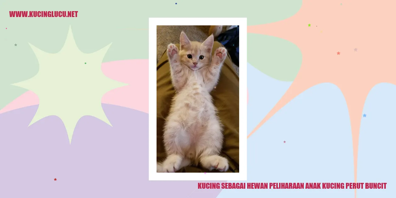 Seekor anak kucing yang terlihat menggemaskan dengan perut yang penuh