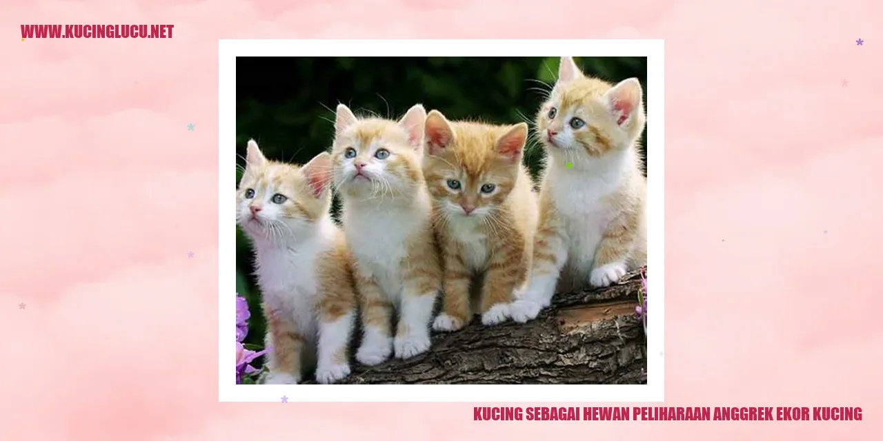 Gambar Kucing Anggrek Ekor Kucing