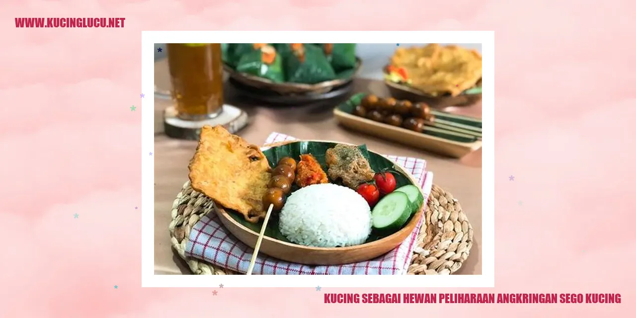 Kucing sebagai Hewan Peliharaan angkringan sego kucing