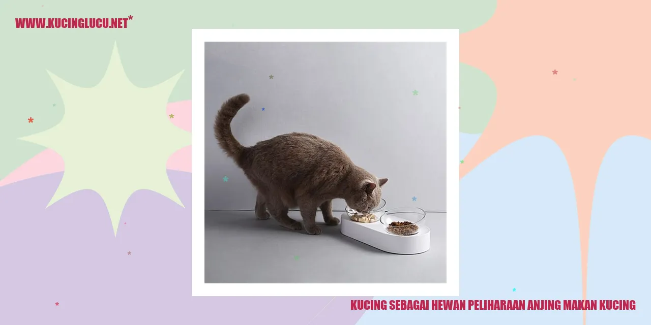 Kucing sebagai Hewan Peliharaan