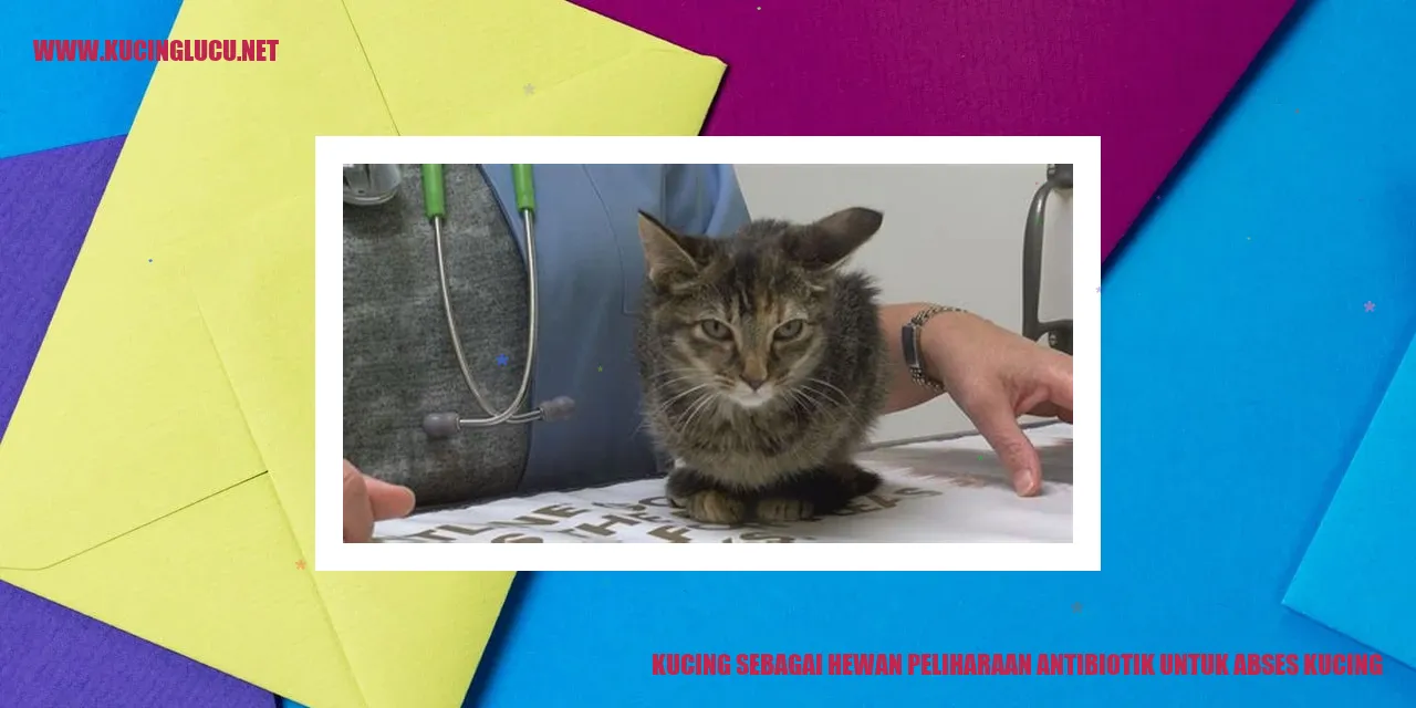 Gambar kucing