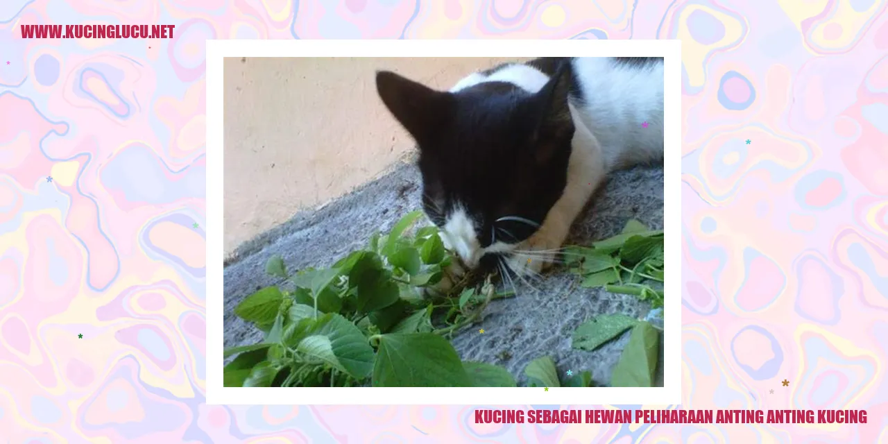 Kucing sebagai Hewan Peliharaan