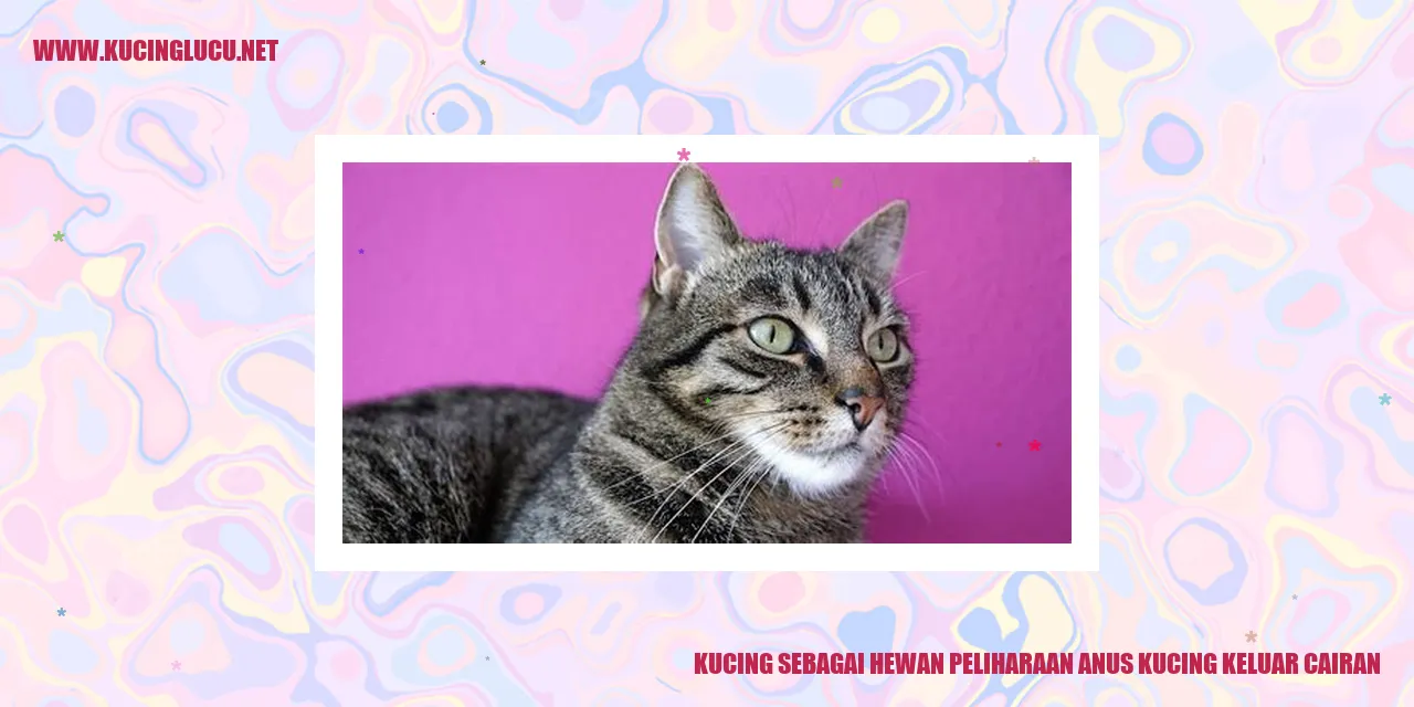 Kucing sebagai Hewan Peliharaan