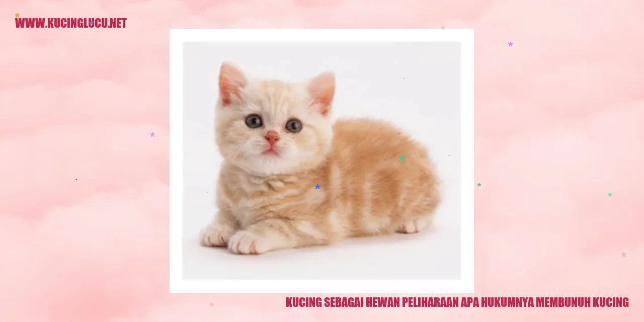 Kucing sebagai Hewan Peliharaan