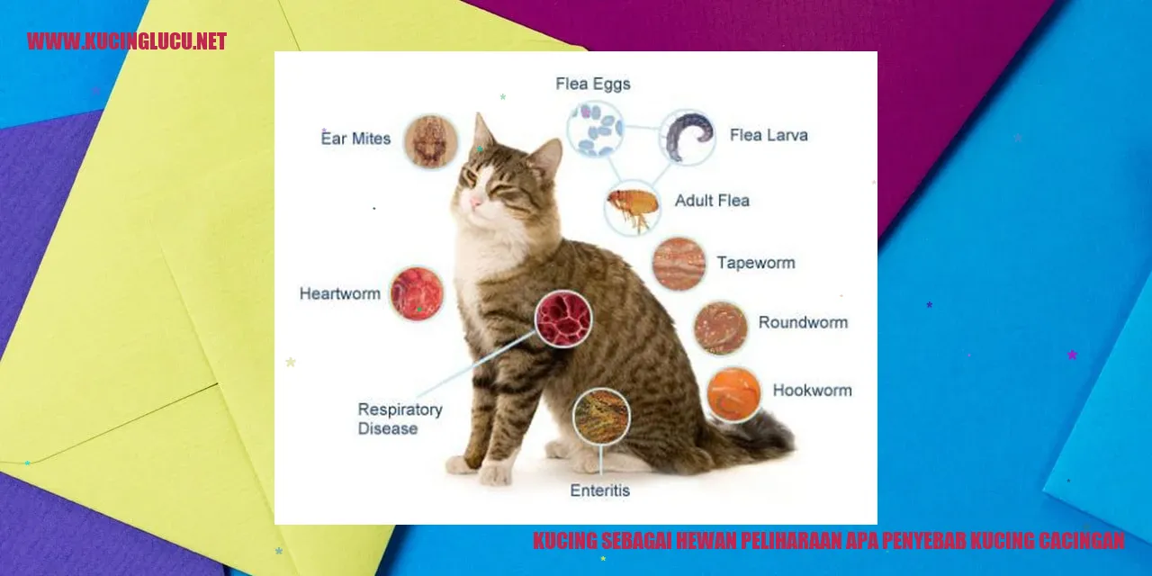 Gambar Kucing