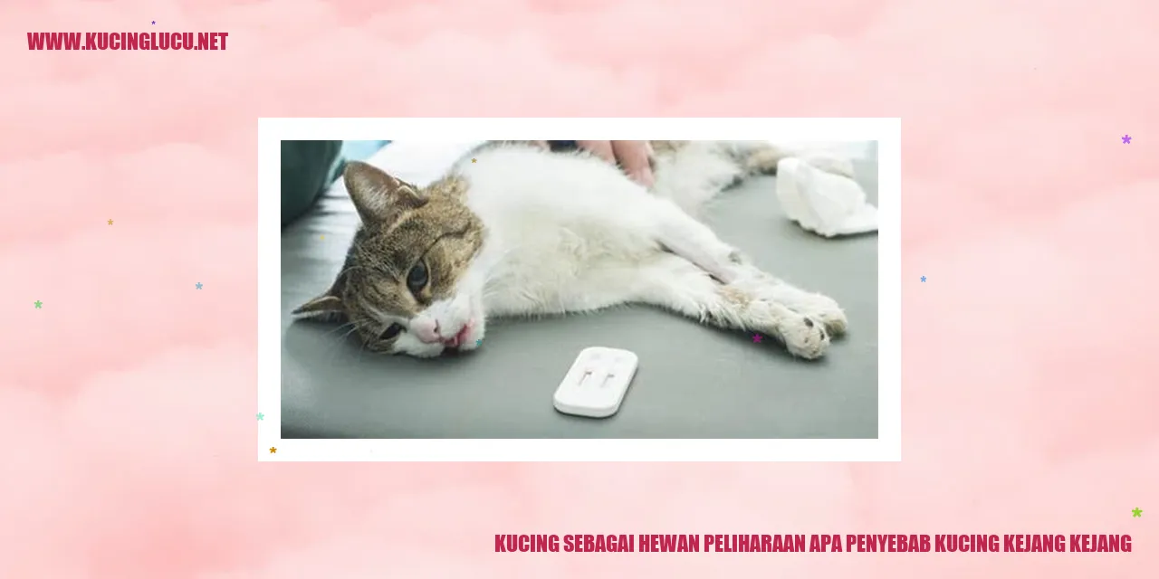 Gambar Kucing