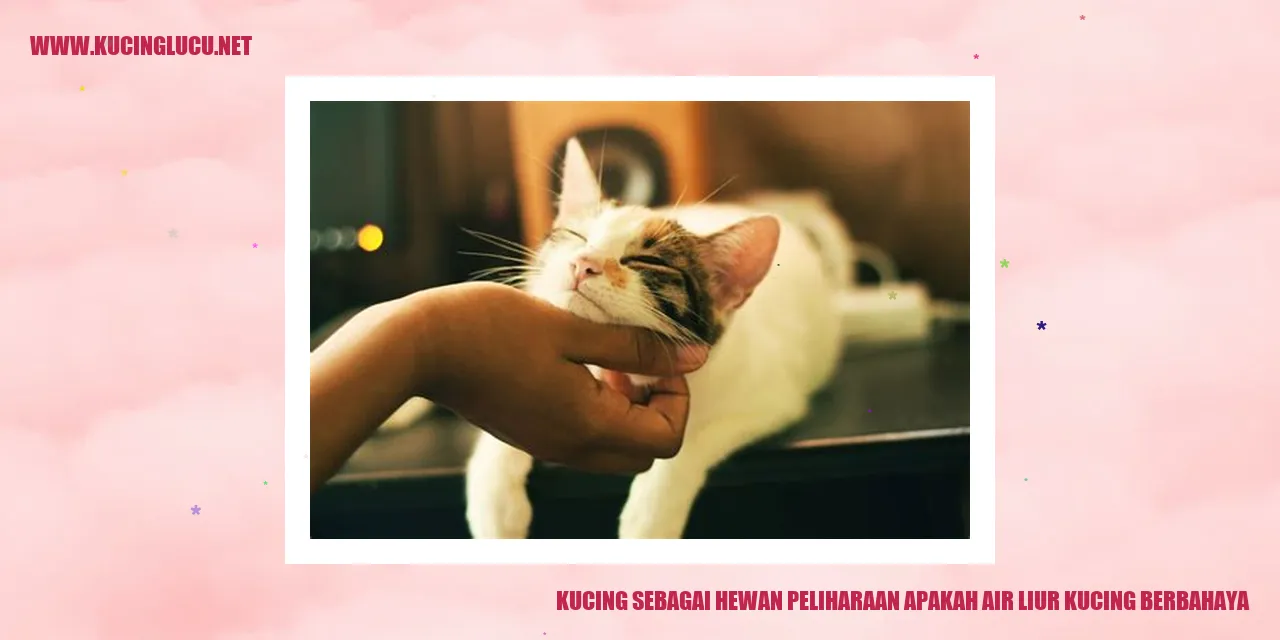 Kucing sedang menjilati dirinya