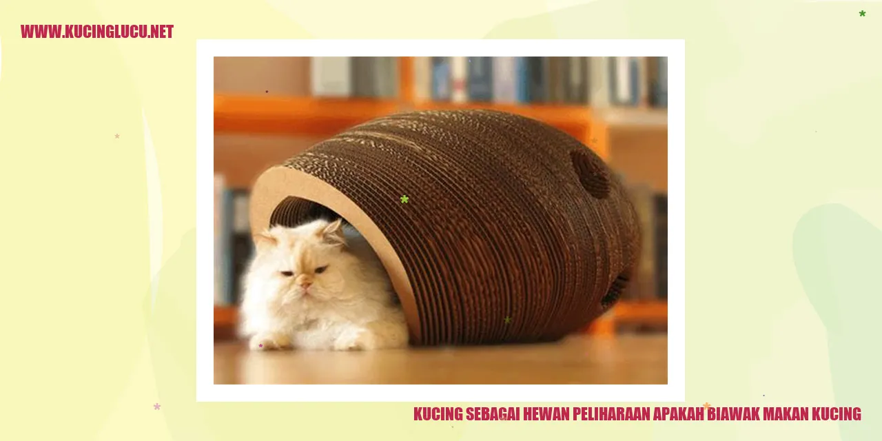 gambar kucing