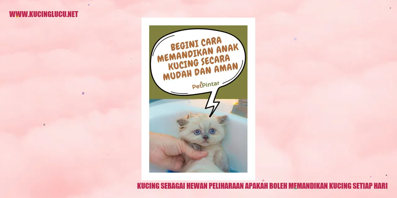 Kucing