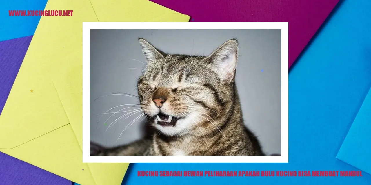 Kucing yang sedang bermain