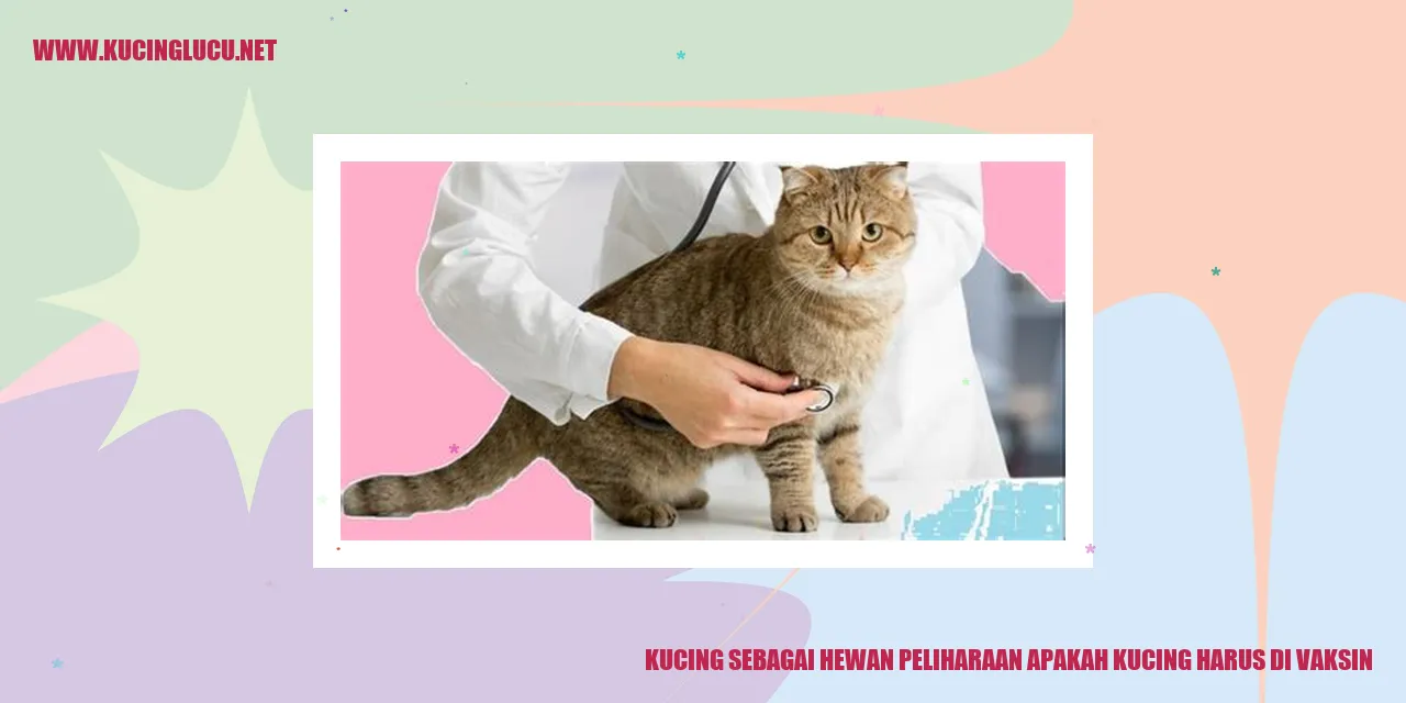 Seorang Kucing di Dokter Hewan