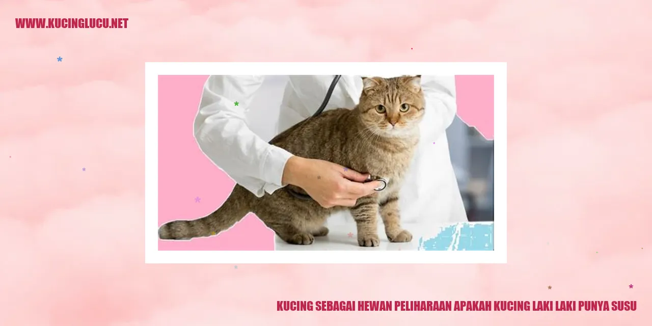 Gambar kucing menyusui bayinya
