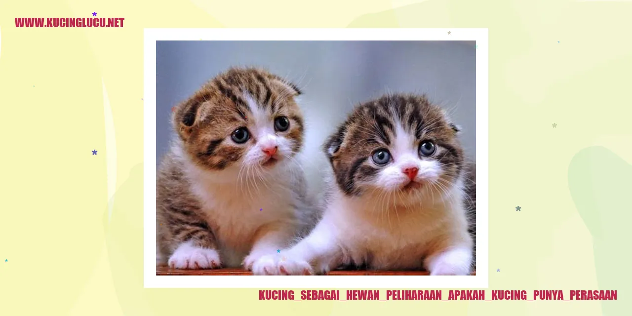 Gambar Kucing Menggemaskan