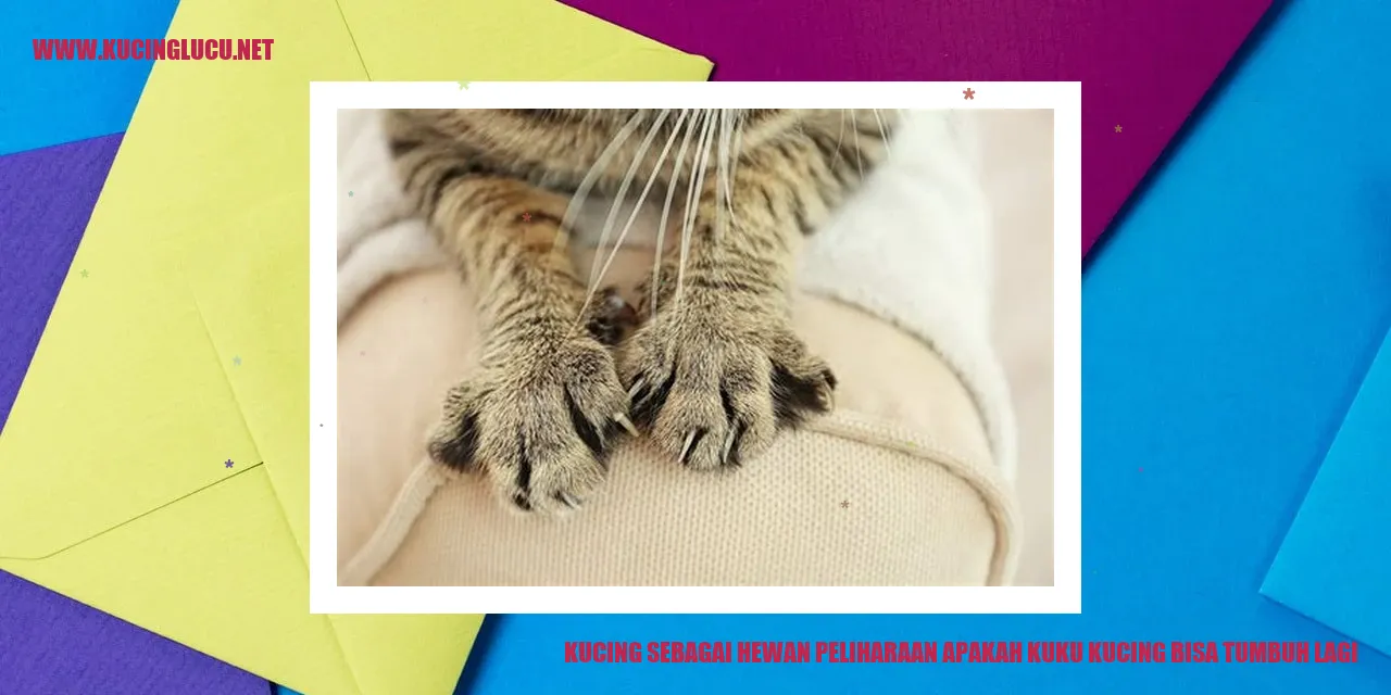 Kucing dengan Kuku Panjang